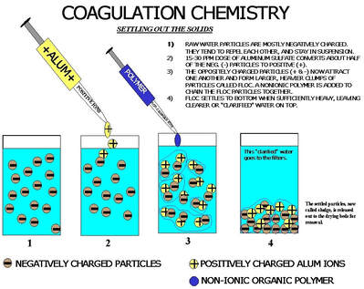 Coagulation Diagram